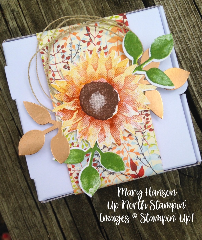 Stampin' Up! - Painted Harveset - Pizza Box 3 - Ideas - Mary Hanson - Up North Stampin' - Stampinup