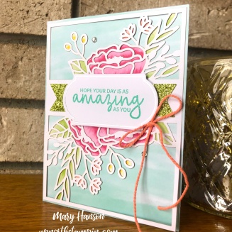 Incredible Like You Kit 3 - Up North Stampin' - Mary Hanson - Stampin' Up!