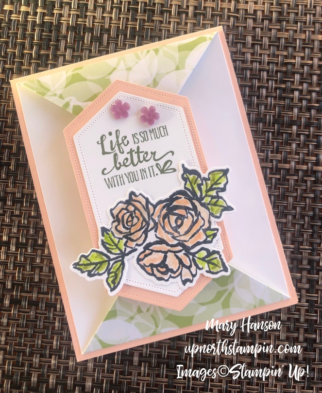 Petal Palette Bundle - Fancy Fold - Stitched Nested Labels Dies - Frosted Flower Embellishments - Mary Hanson - Up North Stampin'
