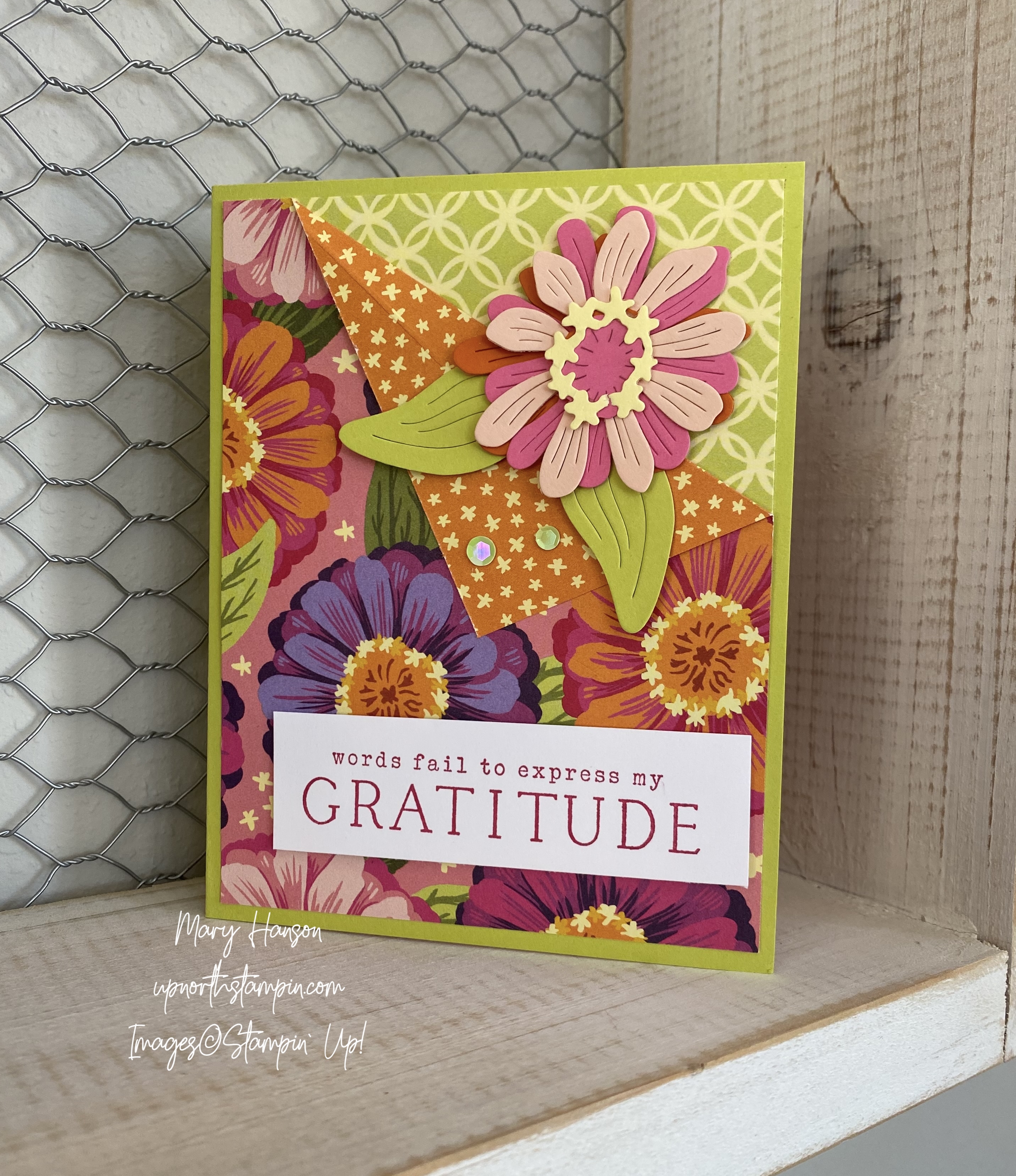 Up North Stampin' – Mary Hanson, Independent Stampin Up! Demonstrator